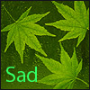 Avatar-animado-Naturaleza-116.gif