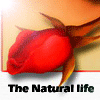 Avatar-animado-Naturaleza-118.gif