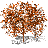 Avatar-animado-Naturaleza-121.gif