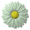 Avatar-animado-Naturaleza-124.gif