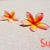 Avatar-animado-Naturaleza-125.gif