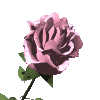 Avatar-animado-Naturaleza-130.gif