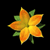 Avatar-animado-Naturaleza-135.gif