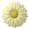 Avatar-animado-Naturaleza-138.gif