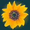Avatar-animado-Naturaleza-15.gif