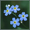 Avatar-animado-Naturaleza-154.gif