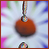 Avatar-animado-Naturaleza-155.gif