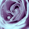 Avatar-animado-Naturaleza-166.gif