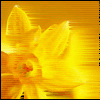 Avatar-animado-Naturaleza-169.gif