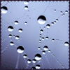 Avatar-animado-Naturaleza-170.gif