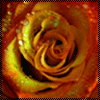 Avatar-animado-Naturaleza-178.gif