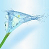 Avatar-animado-Naturaleza-179.gif