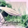 Avatar-animado-Naturaleza-180.gif
