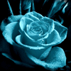 Avatar-animado-Naturaleza-181.gif