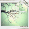 Avatar-animado-Naturaleza-185.gif