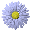 Avatar-animado-Naturaleza-199.gif
