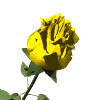 Avatar-animado-Naturaleza-205.gif