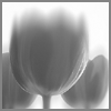 Avatar-animado-Naturaleza-206.gif