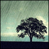 Avatar-animado-Naturaleza-208.gif