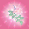 Avatar-animado-Naturaleza-212.gif