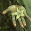 Avatar-animado-Naturaleza-214.gif