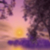 Avatar-animado-Naturaleza-224.gif