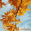 Avatar-animado-Naturaleza-228.gif