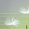 Avatar-animado-Naturaleza-231.gif