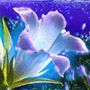 Avatar-animado-Naturaleza-232.gif