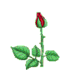 Avatar-animado-Naturaleza-235.gif