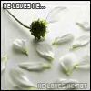 Avatar-animado-Naturaleza-238.gif