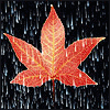 Avatar-animado-Naturaleza-247.gif