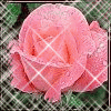 Avatar-animado-Naturaleza-249.gif