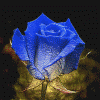 Avatar-animado-Naturaleza-254.gif