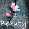 Avatar-animado-Naturaleza-255.gif