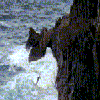 Avatar-animado-Naturaleza-262.gif