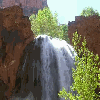 Avatar-animado-Naturaleza-278.gif
