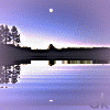 Avatar-animado-Naturaleza-283.gif