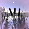 Avatar-animado-Naturaleza-284.gif