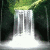 Avatar-animado-Naturaleza-287.gif