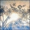 Avatar-animado-Naturaleza-289.gif