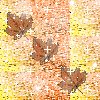 Avatar-animado-Naturaleza-290.gif