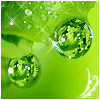 Avatar-animado-Naturaleza-293.gif