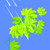 Avatar-animado-Naturaleza-295.gif