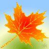 Avatar-animado-Naturaleza-306.gif