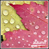 Avatar-animado-Naturaleza-307.gif
