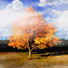 Avatar-animado-Naturaleza-309.gif