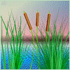 Avatar-animado-Naturaleza-312.gif