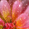 Avatar-animado-Naturaleza-322.gif