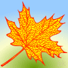 Avatar-animado-Naturaleza-323.gif